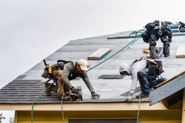 Professional Gutter Installation technician working in Grafton, WV